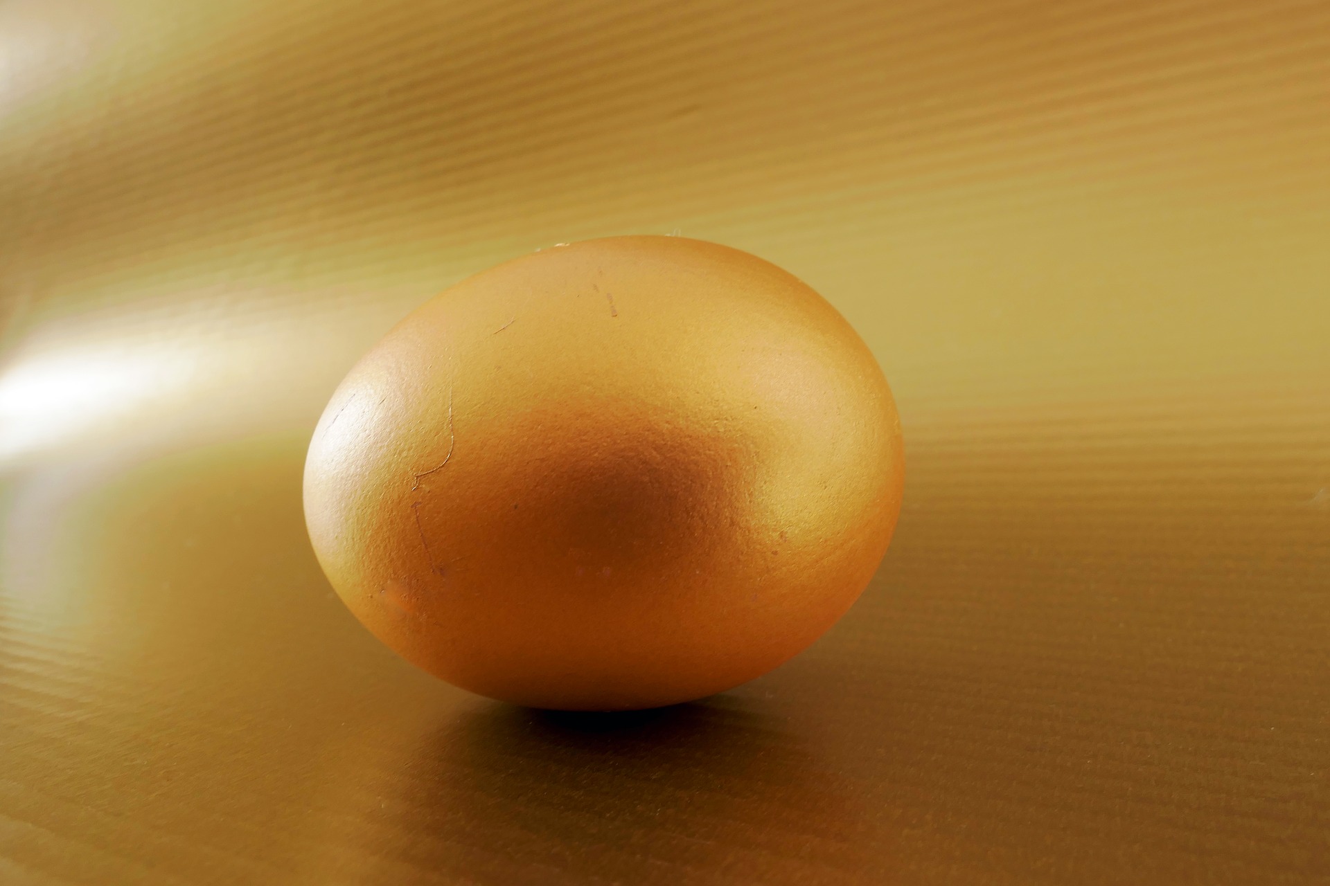 金の卵キャンペーン